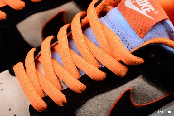 Otomo Katsuhiro x LF0039-027 "Steamboy OST" Low Dunk SB Nike 0718